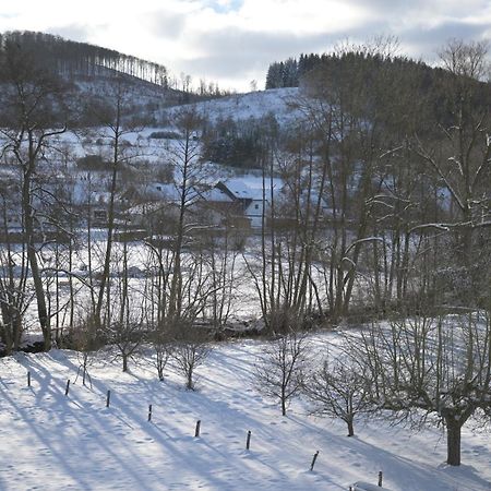 Hotel Kaiserhof Medebach Luaran gambar